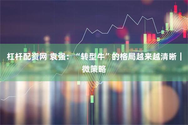 杠杆配资网 袁强：“转型牛”的格局越来越清晰｜微策略