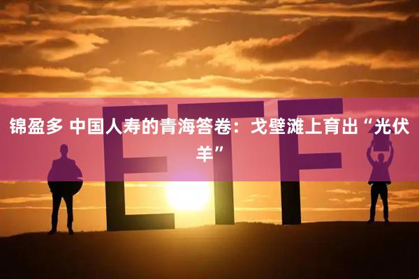 锦盈多 中国人寿的青海答卷：戈壁滩上育出“光伏羊”