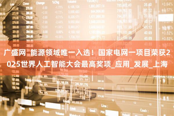 广盛网  能源领域唯一入选！国家电网一项目荣获2025世界人工智能大会最高奖项_应用_发展_上海