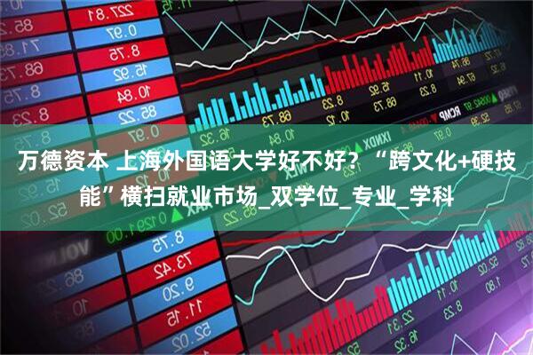 万德资本 上海外国语大学好不好？“跨文化+硬技能”横扫就业市场_双学位_专业_学科