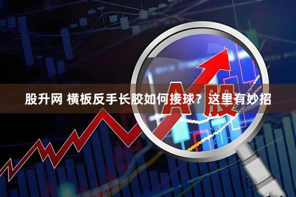 股升网 横板反手长胶如何接球？这里有妙招