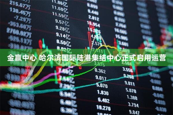 金赢中心 哈尔滨国际陆港集结中心正式启用运营
