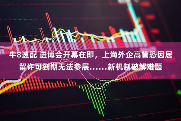 牛8速配 进博会开幕在即，上海外企高管恐因居留许可到期无法参展……新机制破解难题
