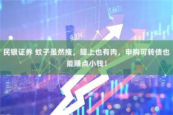 民银证券 蚊子虽然瘦，腿上也有肉，申购可转债也能赚点小钱！