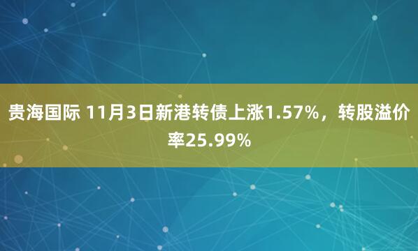 贵海国际 11月3日新港转债上涨1.57%,转股溢价率25.99%
